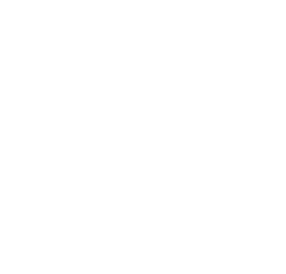 logo blanc de la sécurité sociale'