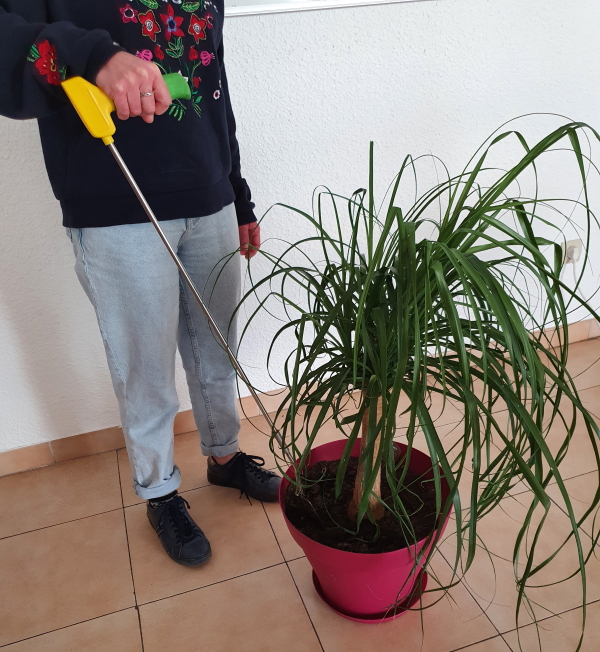 outil de jardinage ergonomique à long manche tenu par une personne âgée